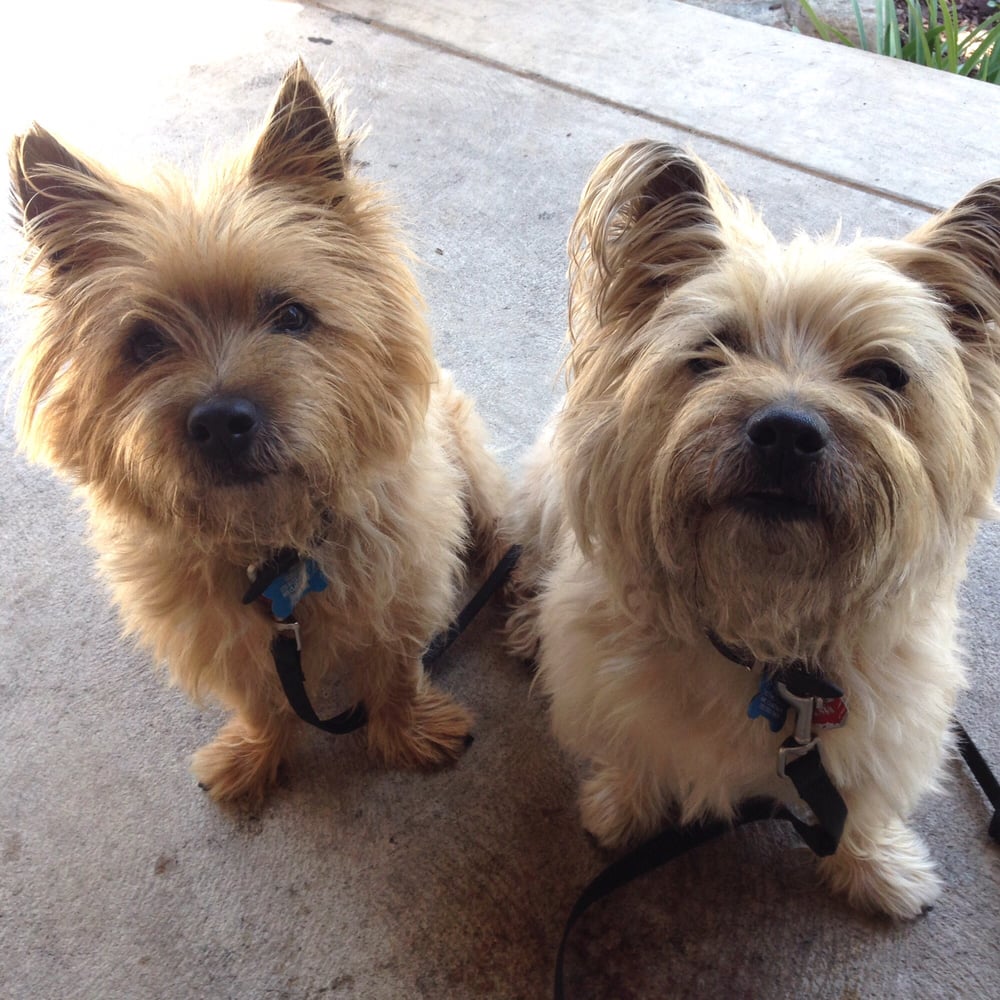 Kathy H.'s profile image