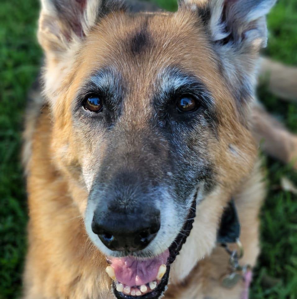 Carla R.'s profile image