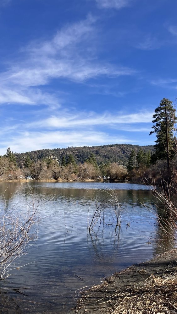 Cynthia N.'s profile image