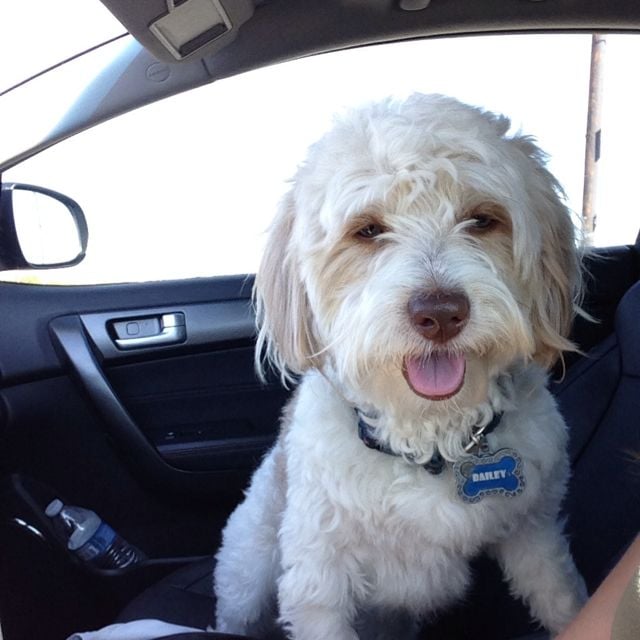 Monica G.'s profile image