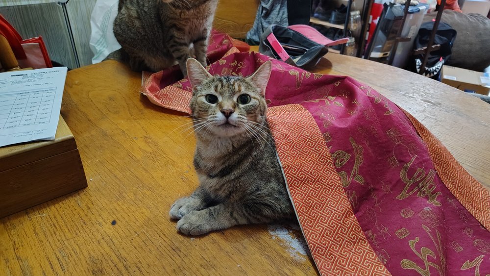 Miss M.'s profile image