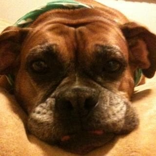 Mia H.'s profile image