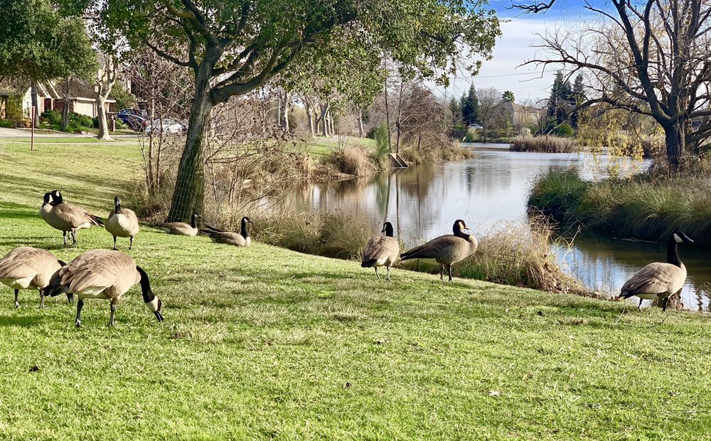 Violeta P.'s profile image