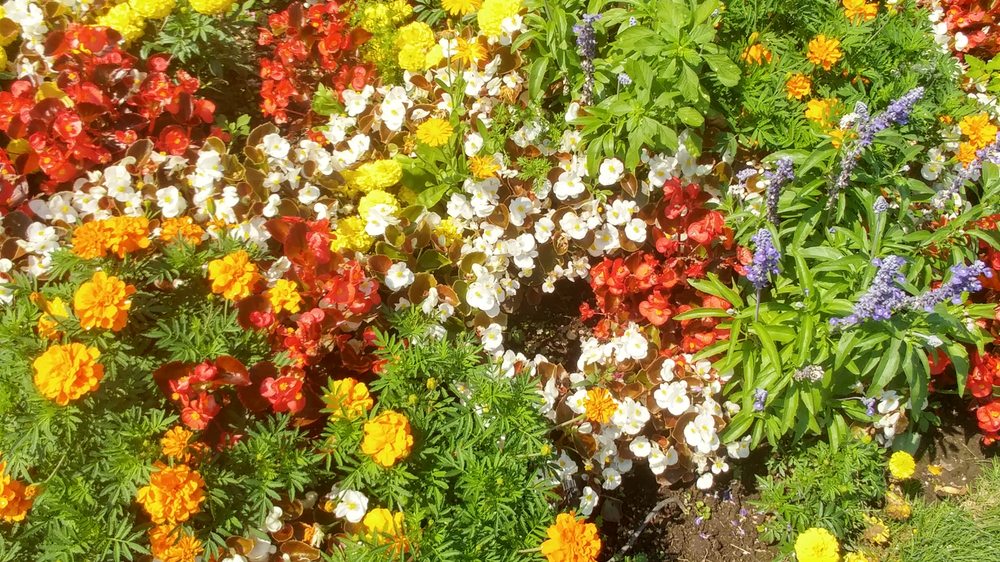 Megan G.'s profile image