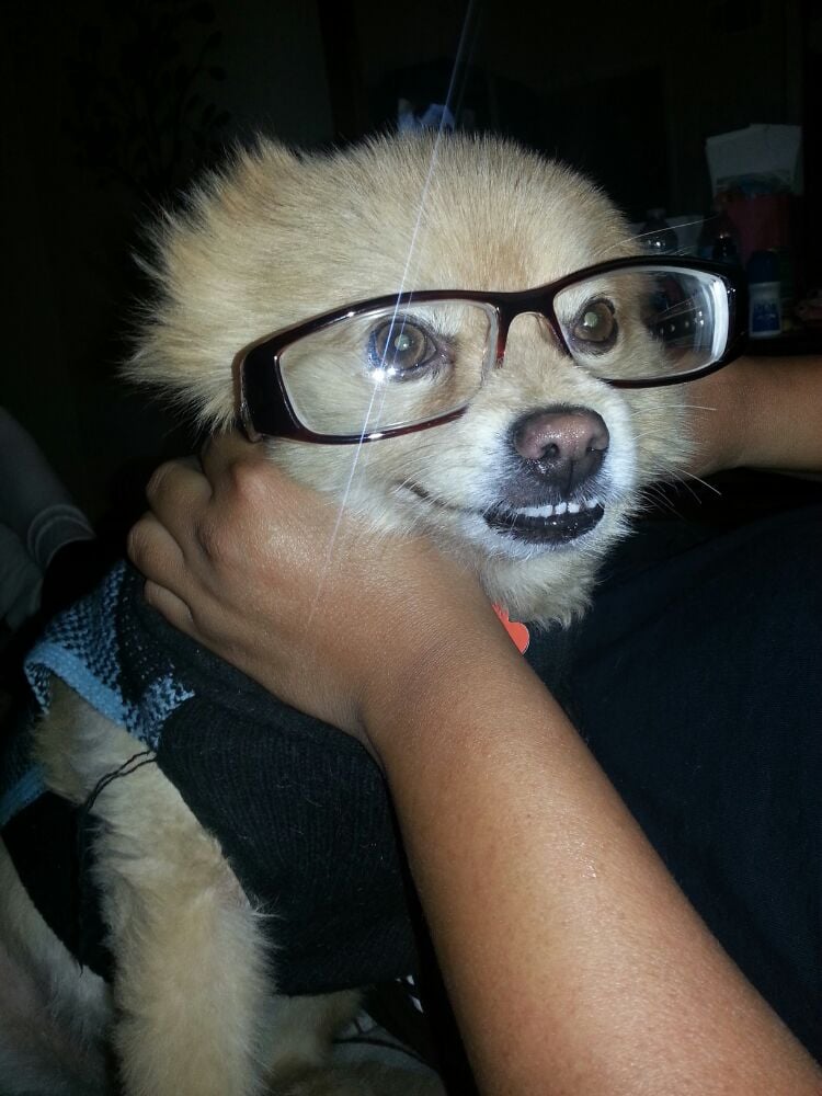 Yvette N.'s profile image