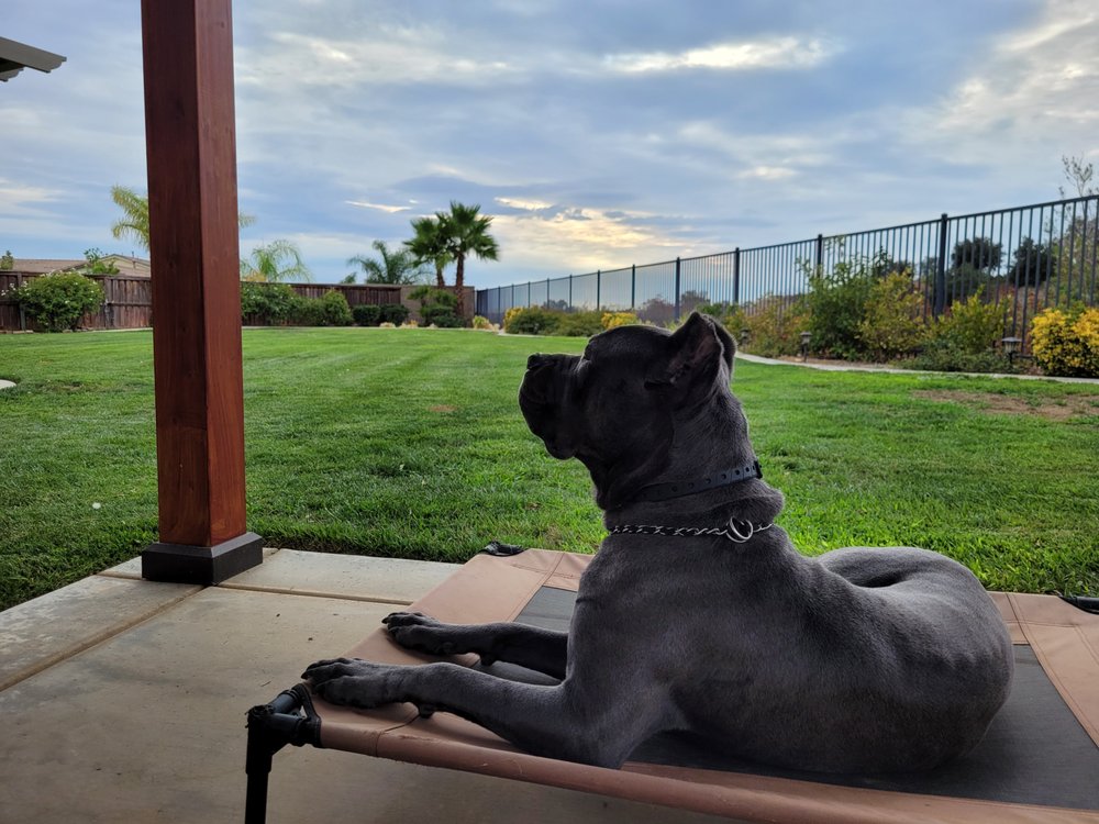 L Y.'s profile image