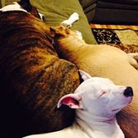 Christine W.'s profile image