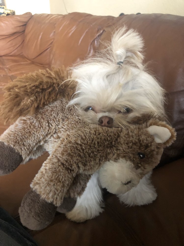 Yvette S.'s profile image