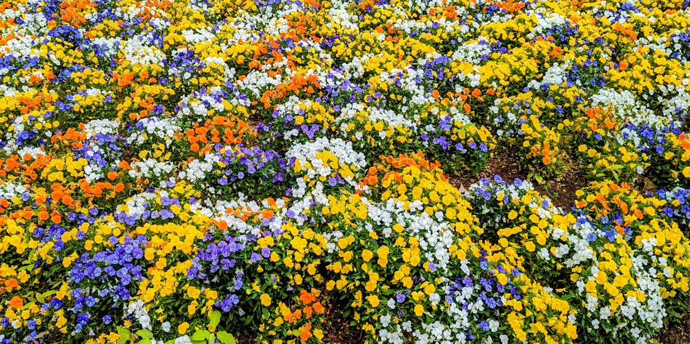 Jason S.'s profile image