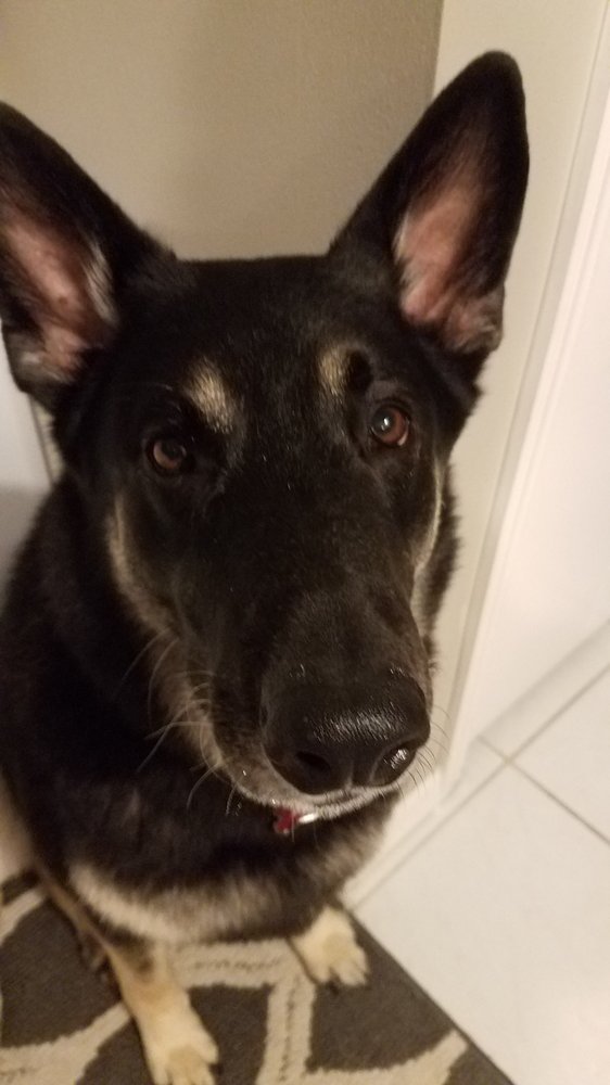 Nekopup G.'s profile image