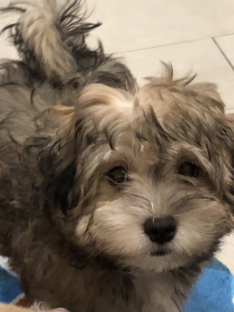 Ming L.'s profile image