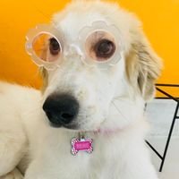 Mr. F.'s profile image