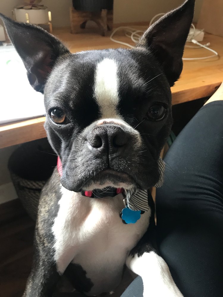 Jessa S.'s profile image