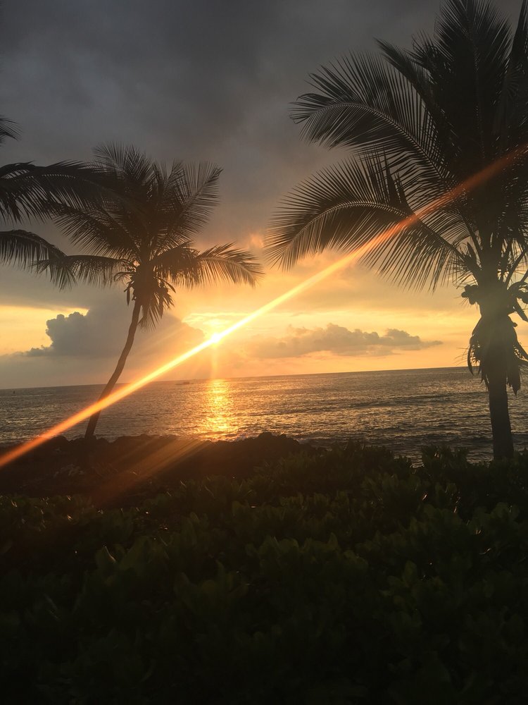 Brittany P.'s profile image