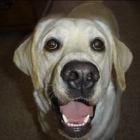 Jason S.'s profile image