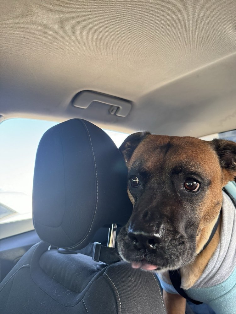 Nicholas S.'s profile image