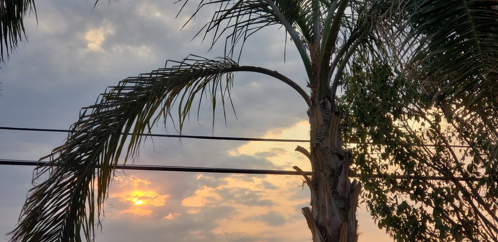 B R.'s profile image