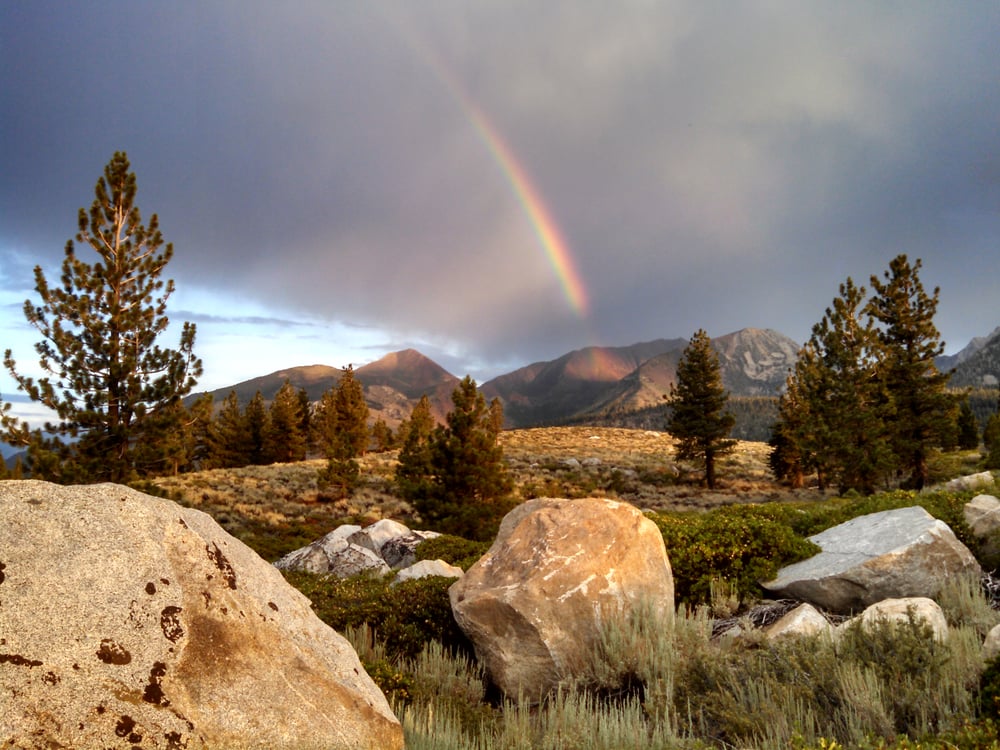 D W F.'s profile image