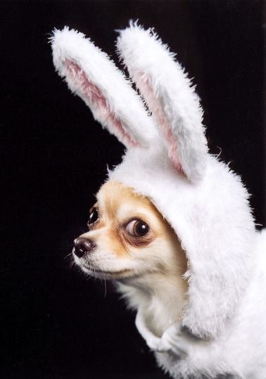 John B.'s profile image