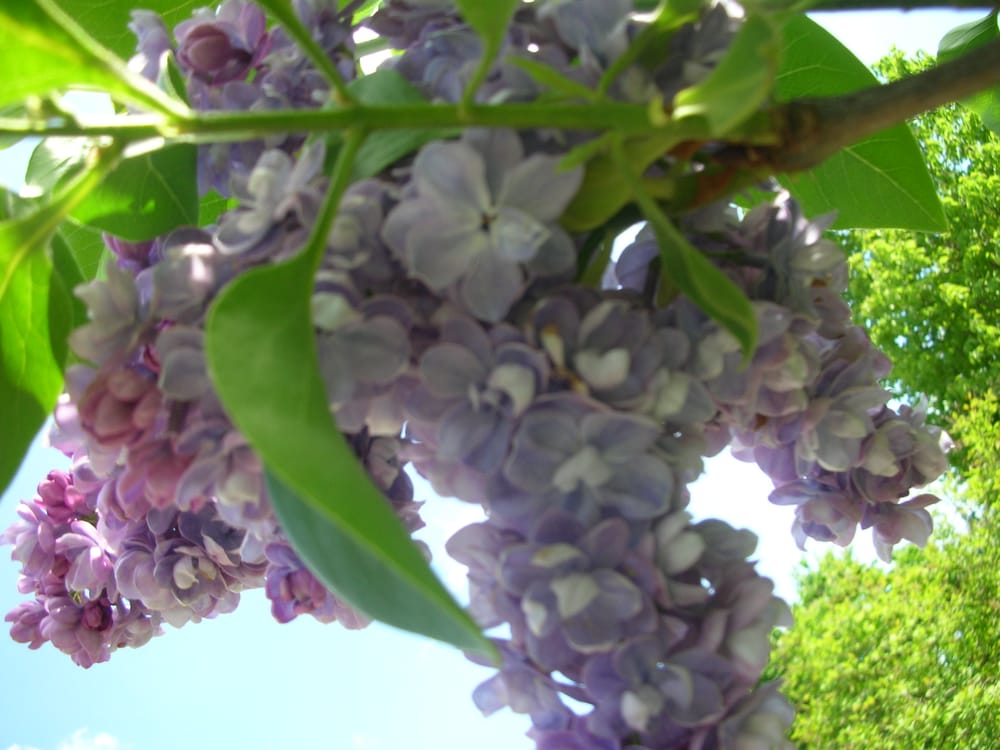 J M.'s profile image