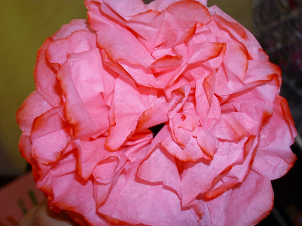 Syd F.'s profile image