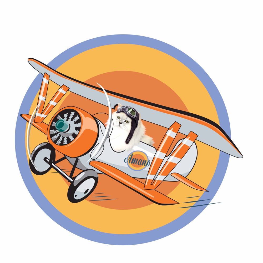 Carlos A.'s profile image