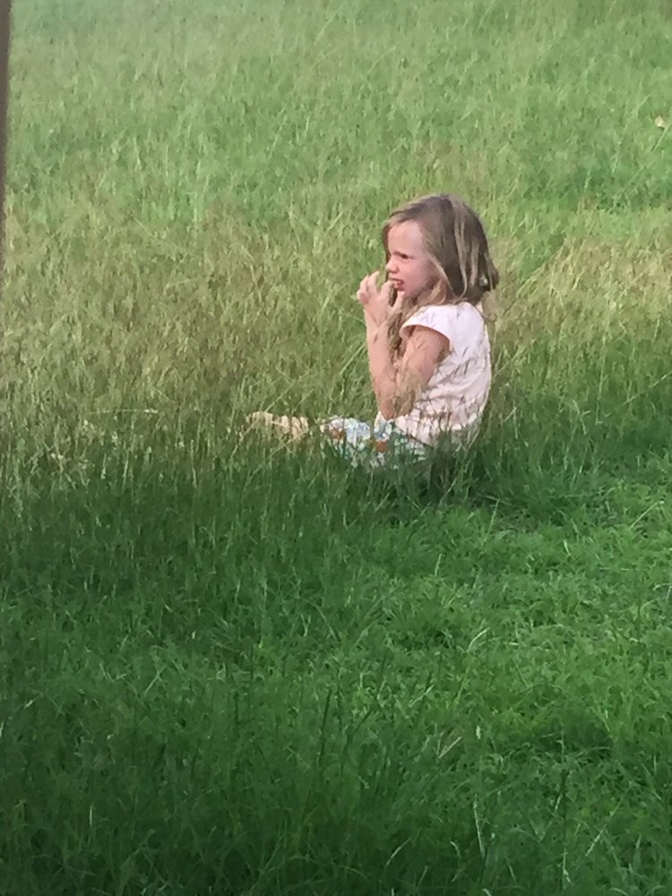 Shannon F.'s profile image