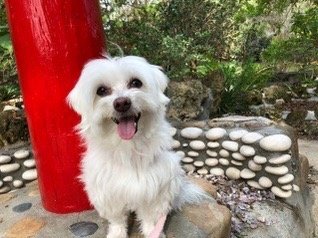 Ann W.'s profile image