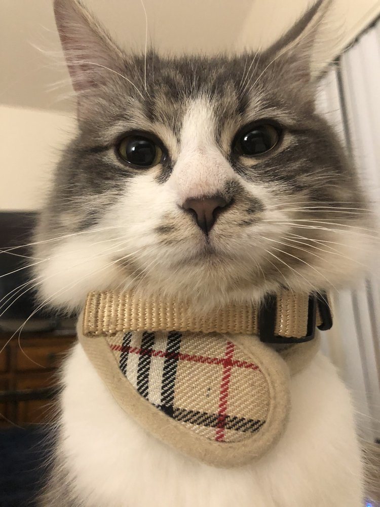 Jennifer G.'s profile image