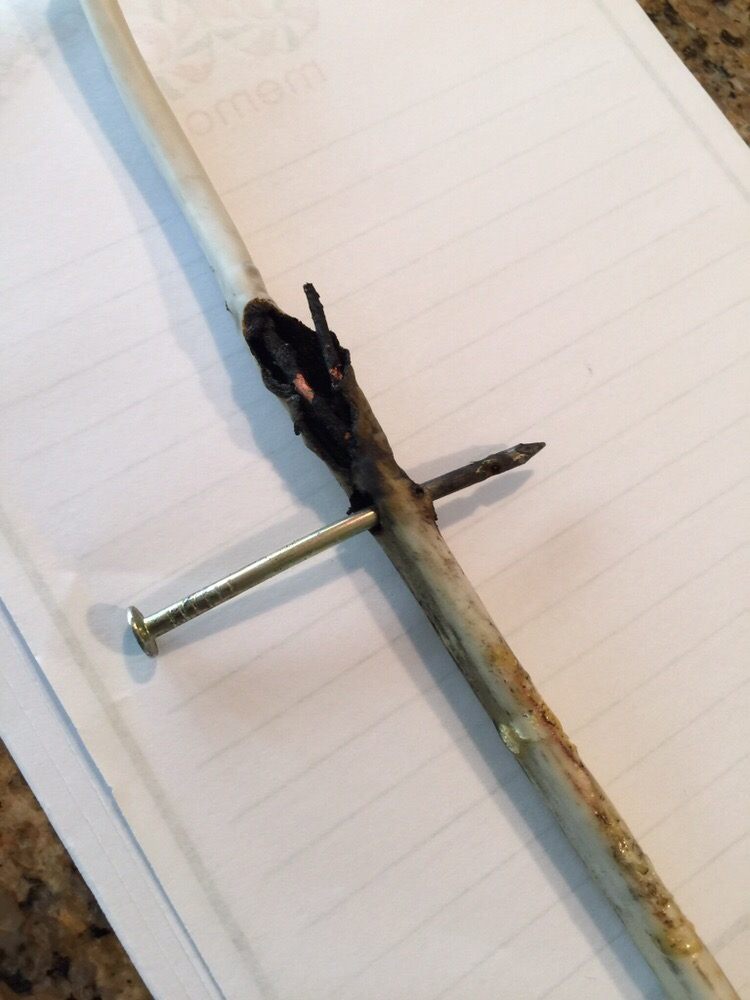 Brian B.'s profile image