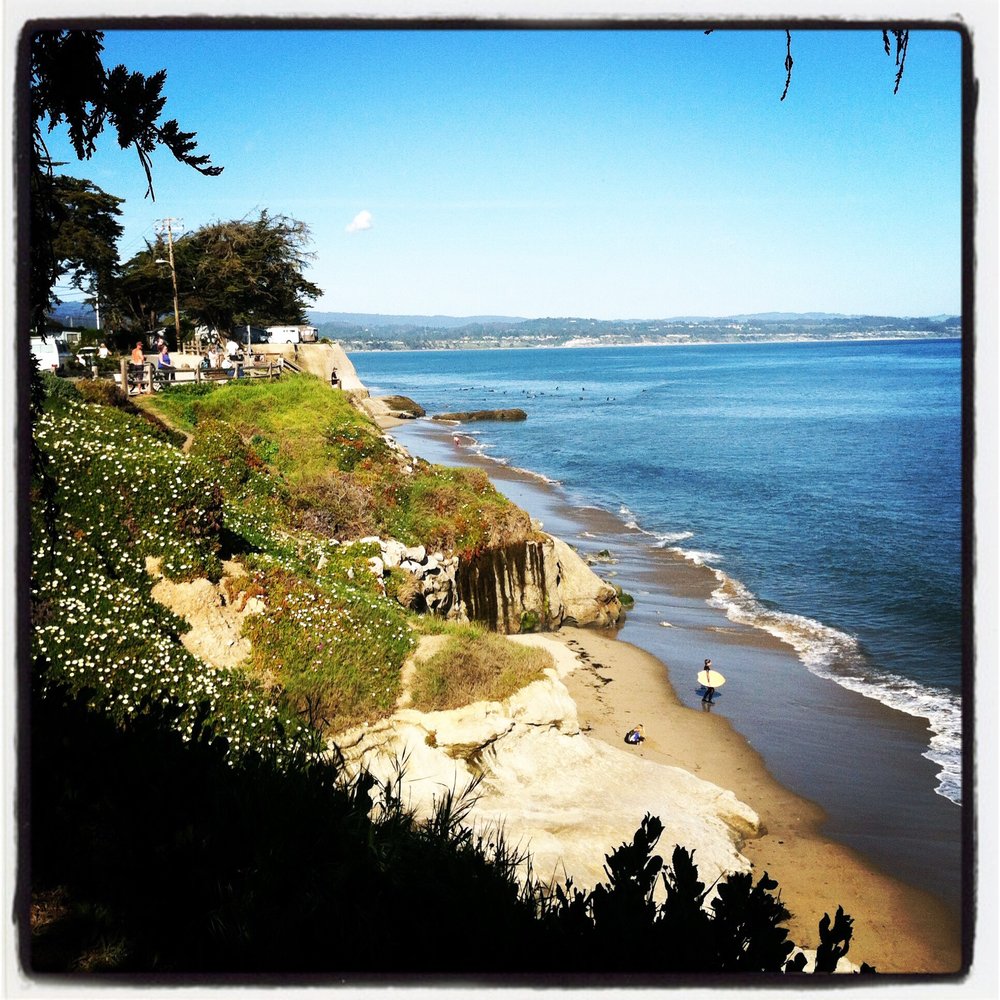 Mehndi M.'s profile image