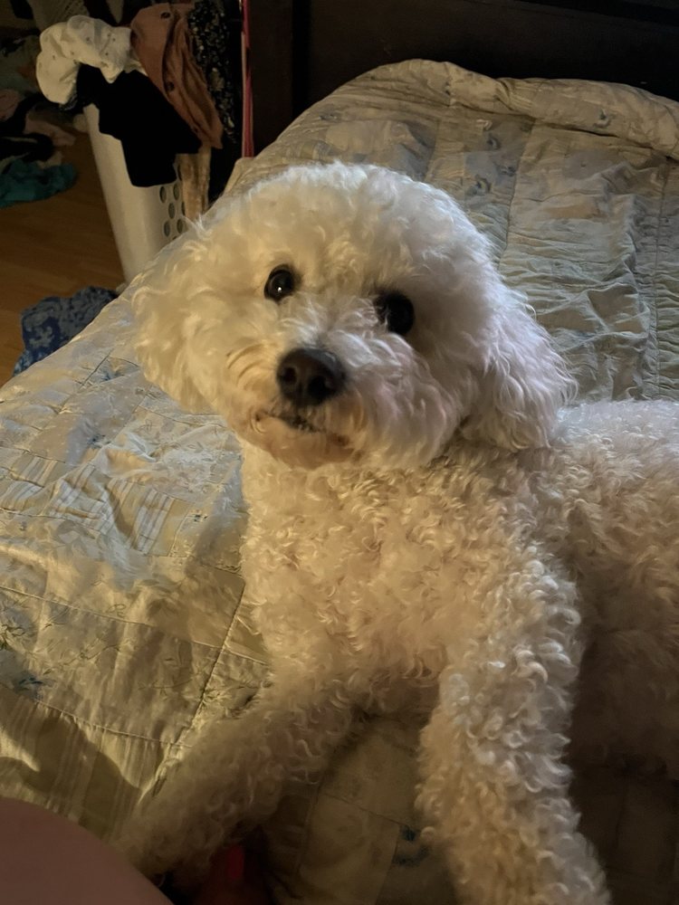 Elise S.'s profile image