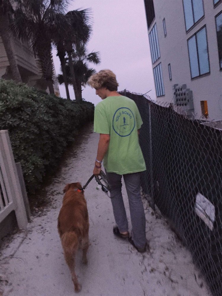 Max P.'s profile image