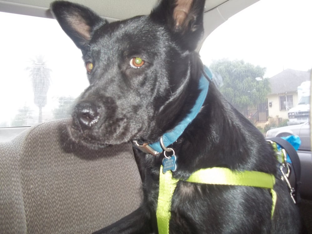 Taylor G.'s profile image