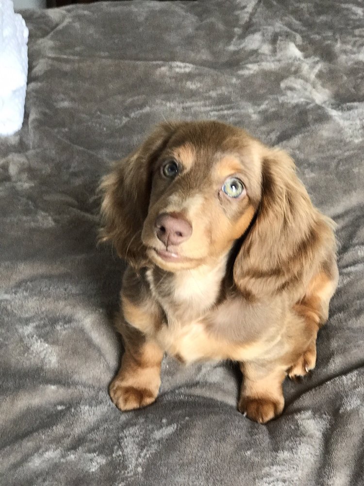 Chris H.'s profile image