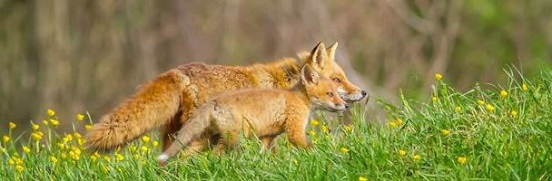 KD D.'s profile image