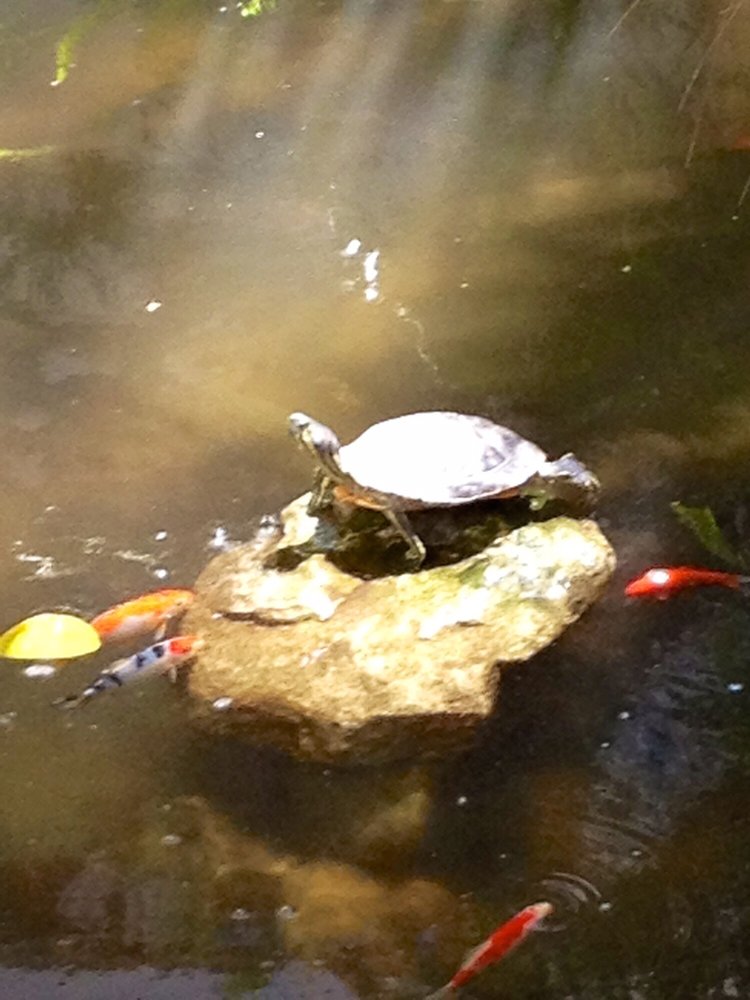 L. L.'s profile image