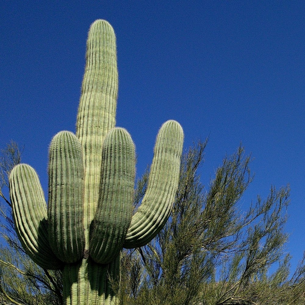 Thomas O.'s profile image