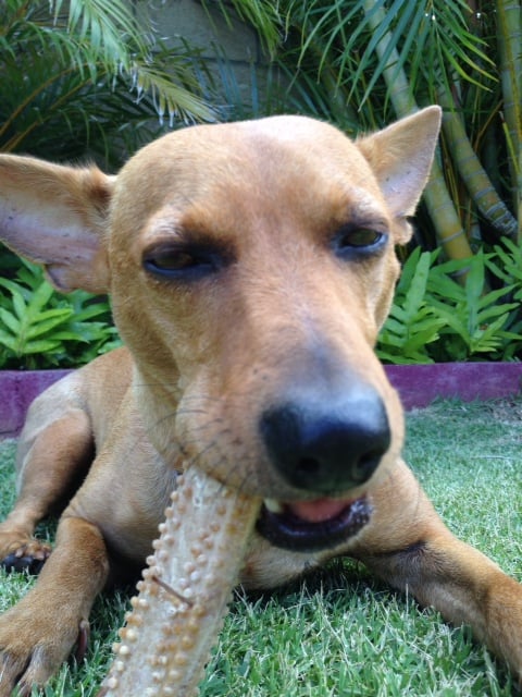 Brad C.'s profile image