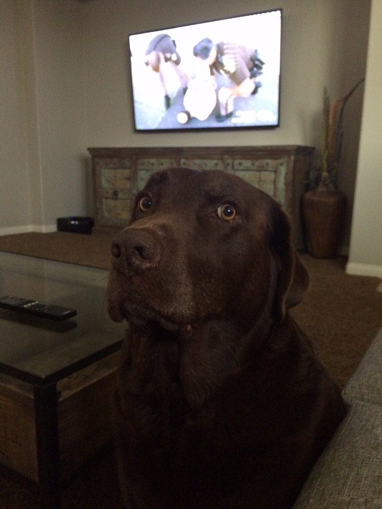 Jon T.'s profile image