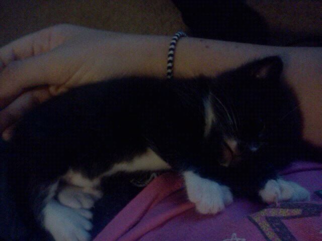 Taylor C.'s profile image