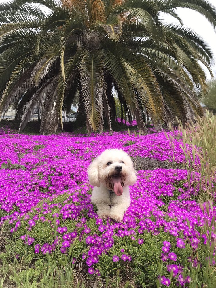 Viviana L.'s profile image