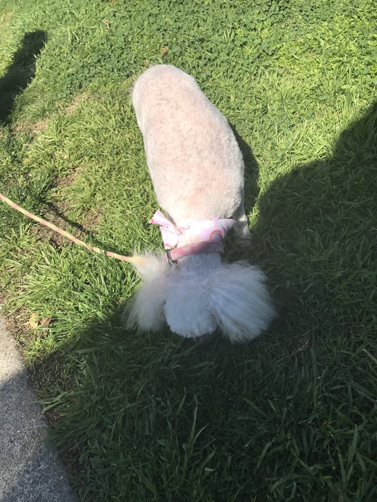 Sophia C.'s profile image