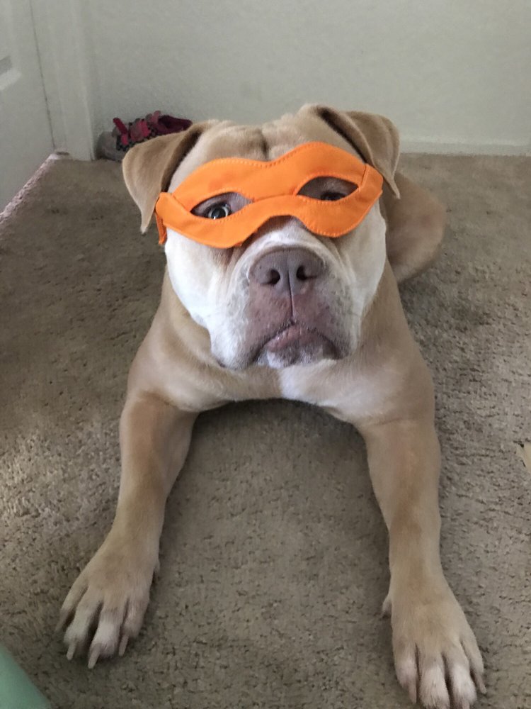 Andrea G.'s profile image