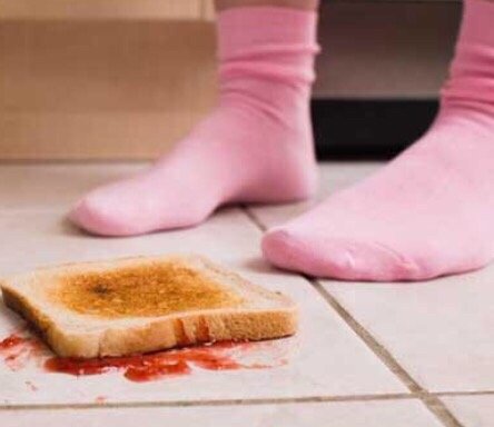 FloorSpice M.'s profile image