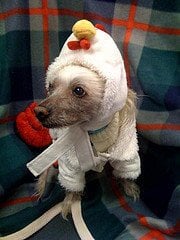 W H.'s profile image