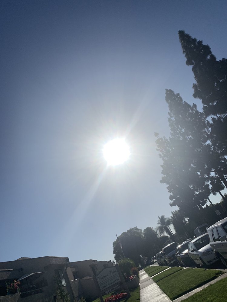 Rosie A.'s profile image