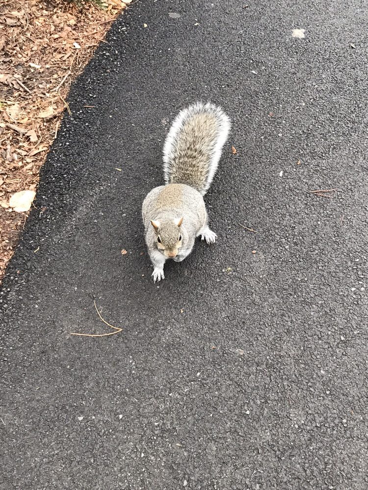 Orchid E.'s profile image