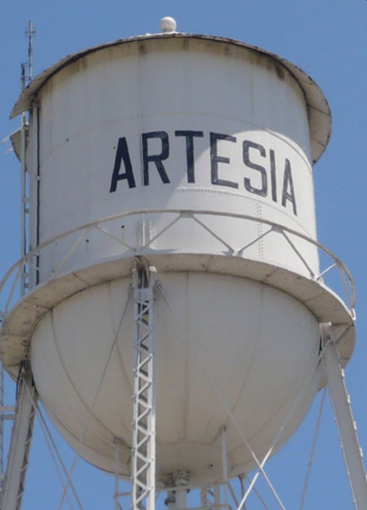 P P.'s profile image