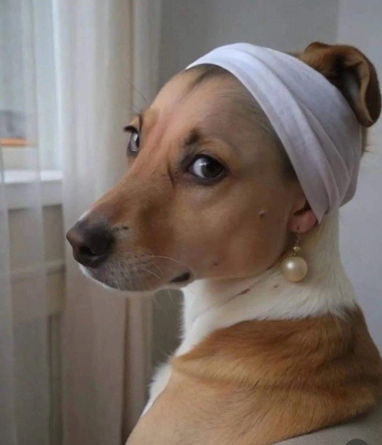 G S.'s profile image